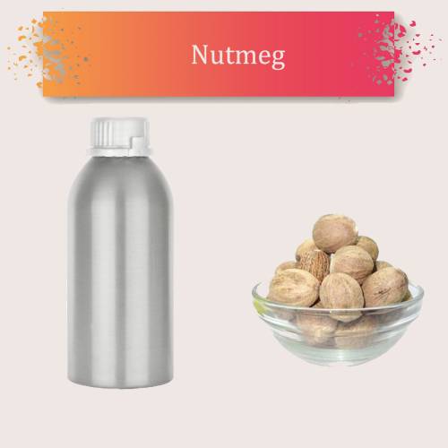 Nutmeg-Extract